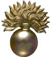 British Grenadier Guards Cap Badge